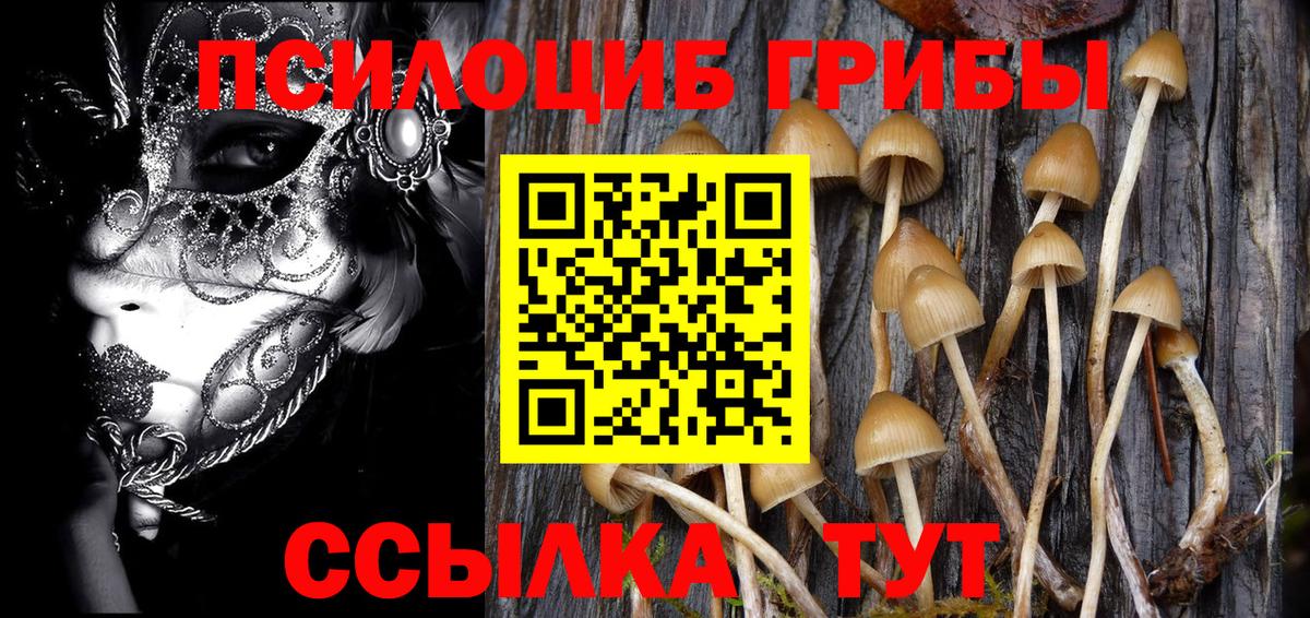 Камышин  Галлюциногенные грибы GOLDEN TEACHER  где найти   Вход с VPN 